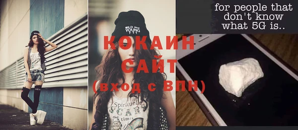 крисы Арсеньев