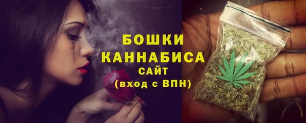 PSILOCYBIN Аркадак