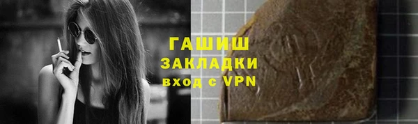 гашик Козельск