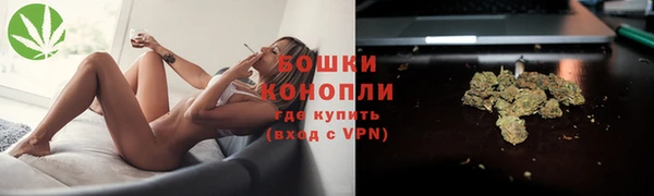 PSILOCYBIN Аркадак