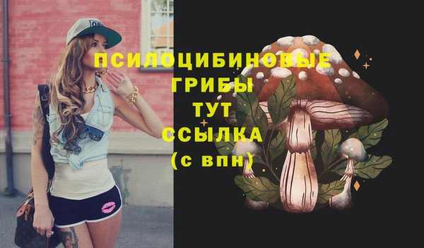 крисы Арсеньев